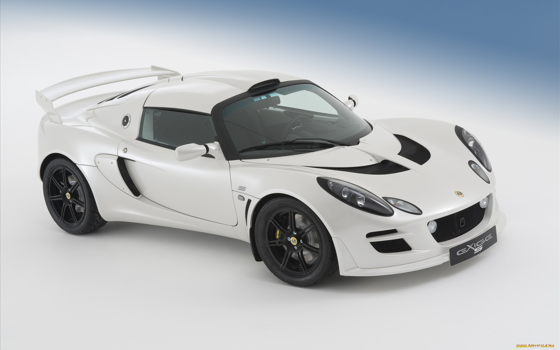, lotus